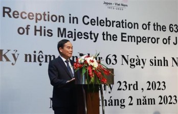 Vietnam, Japan enjoy strong connectivity: Deputy PM