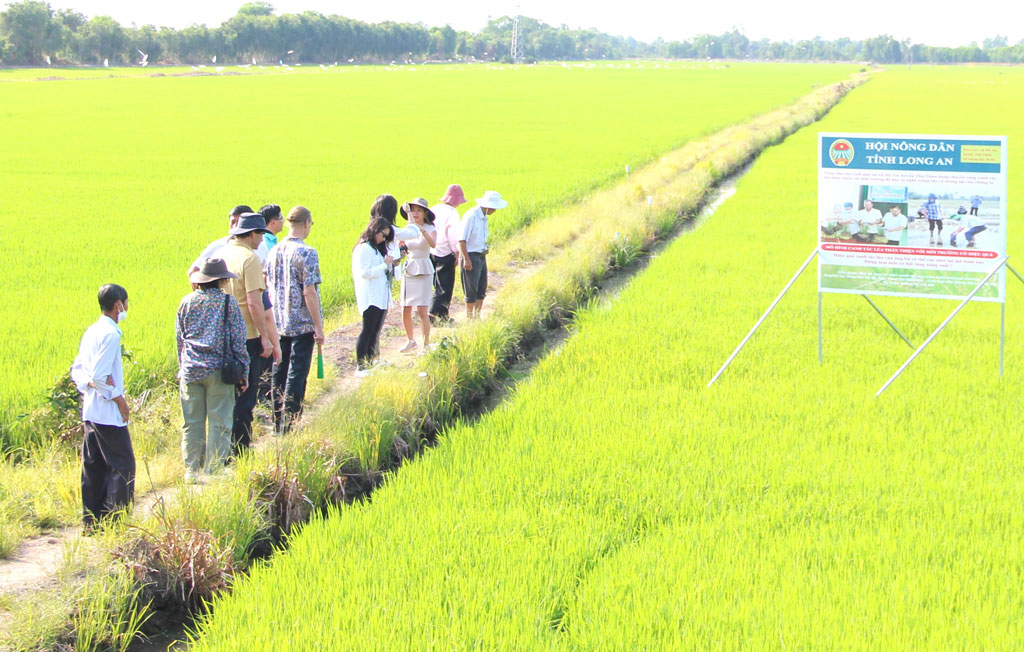 5 Công ty thân thiện với môi trường đang làm thay đổi thế giới