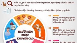 Bộ Y tế yêu cầu tăng cường phòng, chống cúm gia cầm lây sang người