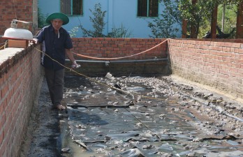 Học tập và làm theo gương Bác để phát triển kinh tế