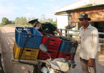 Tăng cường phòng, chống dịch cúm A (H5N1) từ biên giới