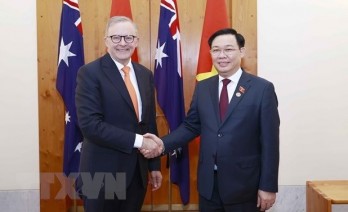 Vietnam, Australia enjoy fruitful strategic partnership: expert