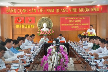 Long An: Quí I kỷ luật 31 đảng viên