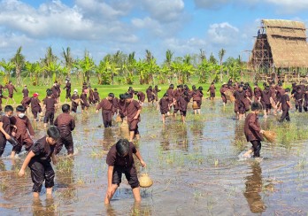 Đừng bỏ ngỏ du lịch trong tỉnh!