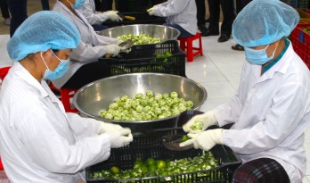 Promote agricultural products processing to increase competitiveness