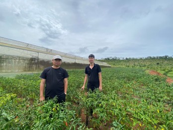 Chàng trai miền Tây lên Măng Đen làm nông nghiệp hữu cơ