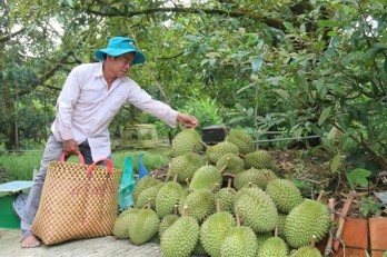 Vietnam's agricultural products face more difficulties in export to China