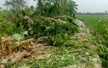 Mưa to kèm theo gió mạnh làm tốc mái 67 nhà dân tại Tiền Giang