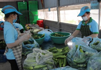 Đưa sản phẩm nông nghiệp lên sàn thương mại điện tử