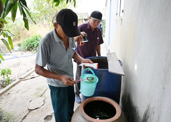 Tổ chức chiến dịch diệt lăng quăng để phòng, chống sốt xuất huyết