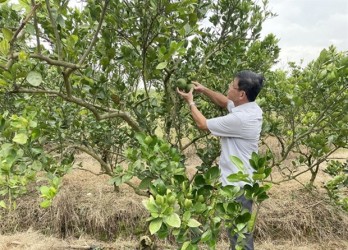 Dong Nai province’s farmers expand eco-tourism services