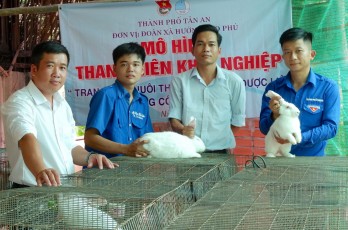 Thanh niên khởi nghiệp từ nuôi thỏ sạch