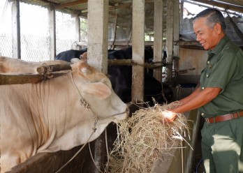 Cựu chiến binh làm theo lời Bác