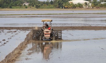 Nông dân phấn khởi bước vào sản xuất vụ lúa Hè Thu