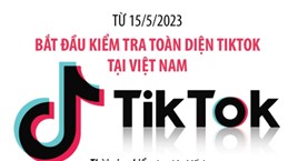 Bắt đầu kiểm tra toàn diện TikTok tại Việt Nam