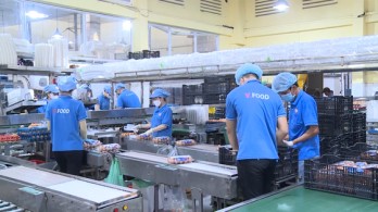 Vietnam’s exports decline by 12.8 percent