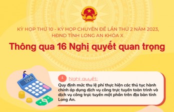 16 Nghị quyết quan trọng được thông qua tại Kỳ họp chuyên đề HĐND tỉnh Long An khóa X