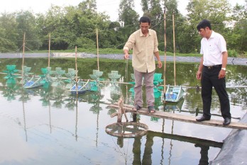 Chủ động phòng bệnh trên cây trồng, vật nuôi