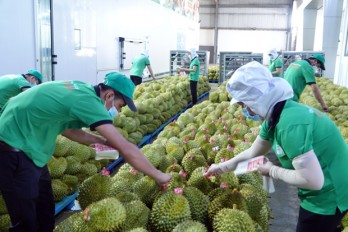 Durian, coconut expected to join “1-billion-USD” club of exports