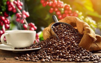 Vietnam’s coffee exports hoped to earn over US$4 billion this year