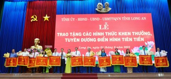 Hội Liên hiệp Phụ nữ Việt Nam tỉnh: Đơn vị điển hình trong phong trào 
thi đua yêu nước