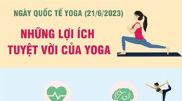 Những lợi ích tuyệt vời của Yoga mà bạn cần biết