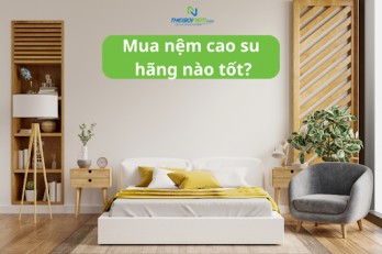 Mua nệm cao su hãng nào tốt hiện nay