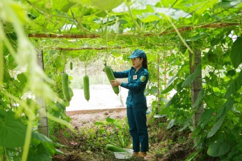 Chăm lo cho lực lượng dân quân tuyến đầu