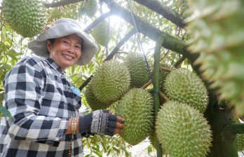 Quyết tâm thực hiện thắng lợi nhiệm vụ phát triển kinh tế - xã hội