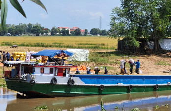 Nông dân miền Tây mừng rơn vì trúng mùa lại được giá