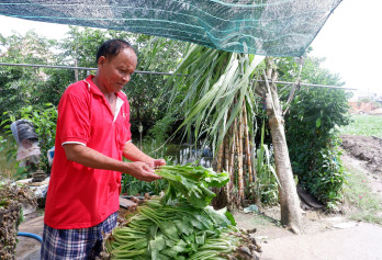 Hỗ trợ người khuyết tật tái hòa nhập cộng đồng