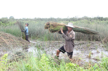 Hiện thực hóa ước mơ Nông Nghiệp Xanh