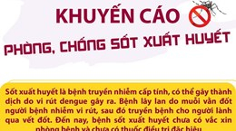 Bộ Y tế khuyến cáo phòng, chống sốt xuất huyết