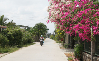 Nỗ lực thực hiện các giải pháp hoàn thành chỉ tiêu năm 2023