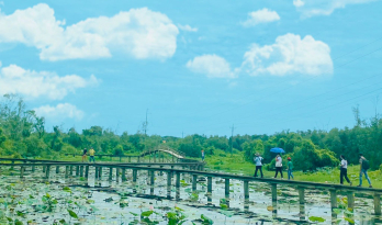 'Check-in' rừng tràm với nét đẹp hoang sơ