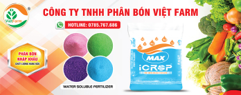 Công ty Phân bón Vietfarm: Điểm tựa cho năng suất và lợi nhuận trong nông nghiệp