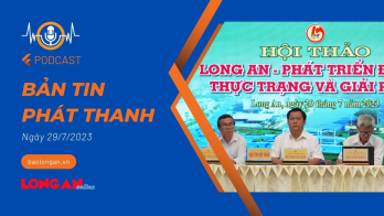 Bản tin phát thanh ngày 29/7/2023