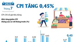 Chỉ số giá tiêu dùng tháng Bảy tăng 0,45%