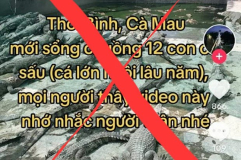 Cà Mau: Thông tin '12 con cá sấu sổng chuồng' là sai sự thật