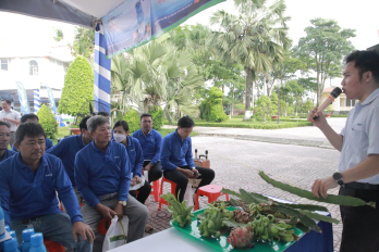 Gần 250 nông dân tham gia Hội thảo quản lý dịch hại trên cây thanh long