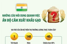 Những câu hỏi xung quanh việc Ấn Độ cấm xuất khẩu gạo