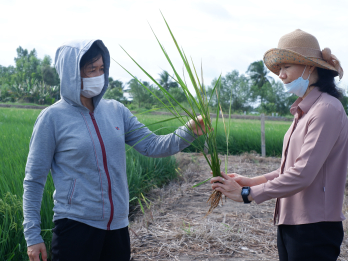 Tích cực phòng, chống sinh vật gây hại