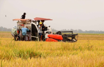 Ministry proposes to stabilize rice prices domestically