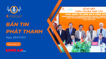 Bản tin phát thanh ngày 08/8/2023