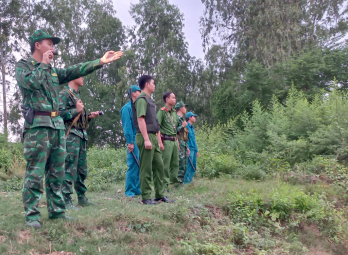 Ngăn chặn, xử lý heo nhập lậu qua biên giới