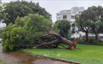 Bão Khanun đổ bộ Hàn Quốc, hàng trăm chuyến bay bị hủy