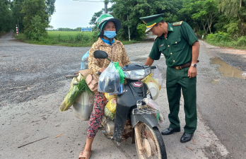 Ngăn chặn heo nhập lậu qua biên giới