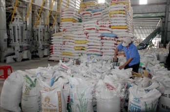 Industry-trade ministry issues directive on rice export, supply stabilisation