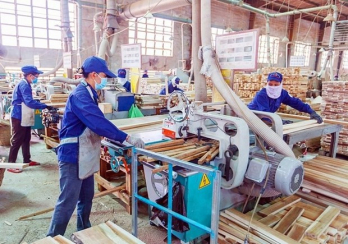 Wood enterprises step up trade promotion due to lack of orders