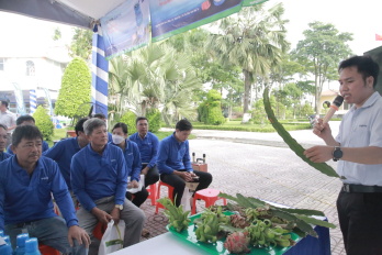 Chủ động phòng bệnh trên cây trồng